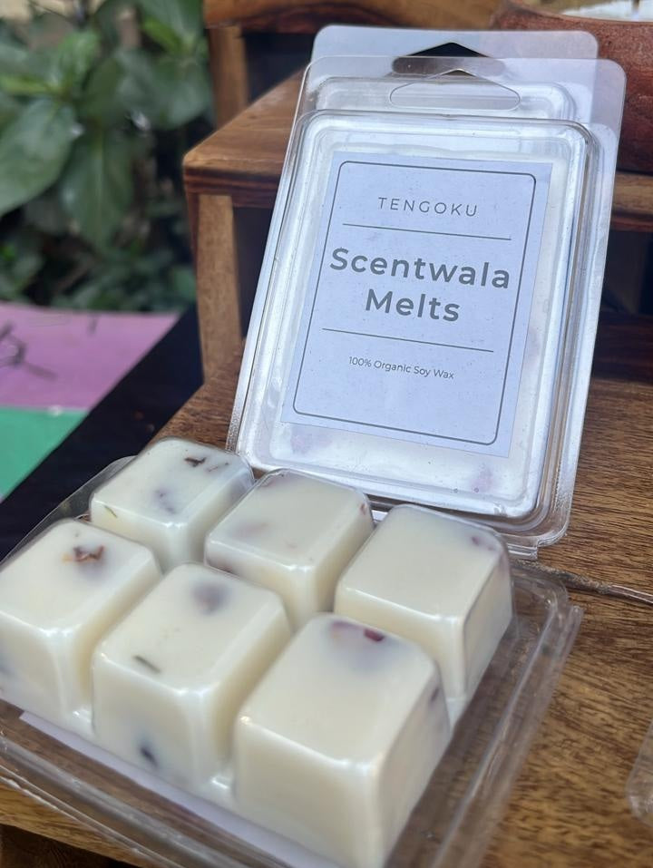 Wax melt bars (Set of 2) | Soy wax melts | Scentwala Melts