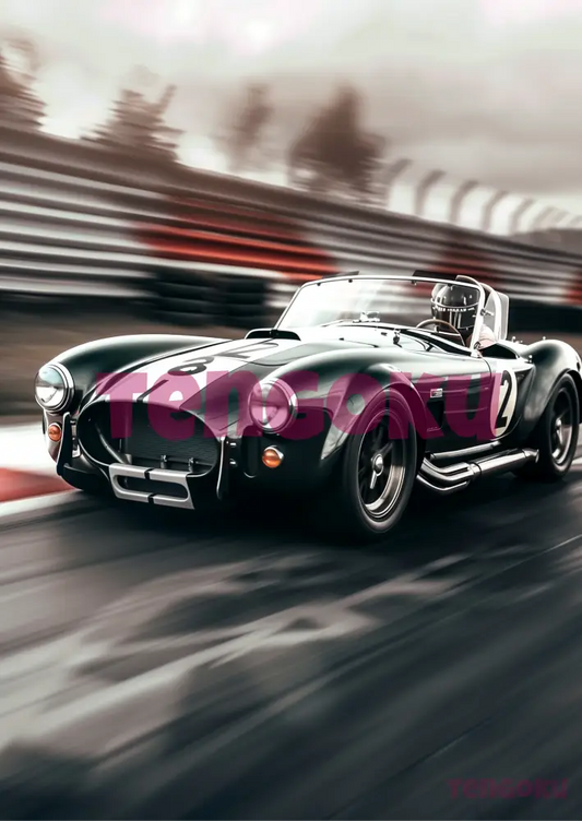 Shelby 289 Cobra | Poster For Home And Office Decor