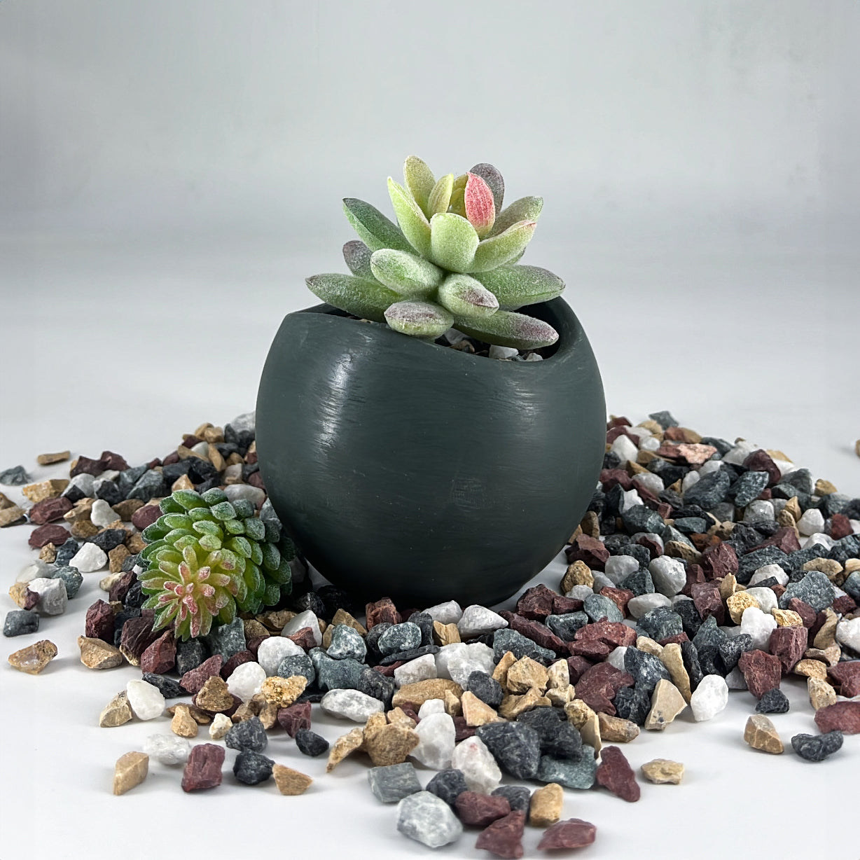 Pebble Bowl | Planter