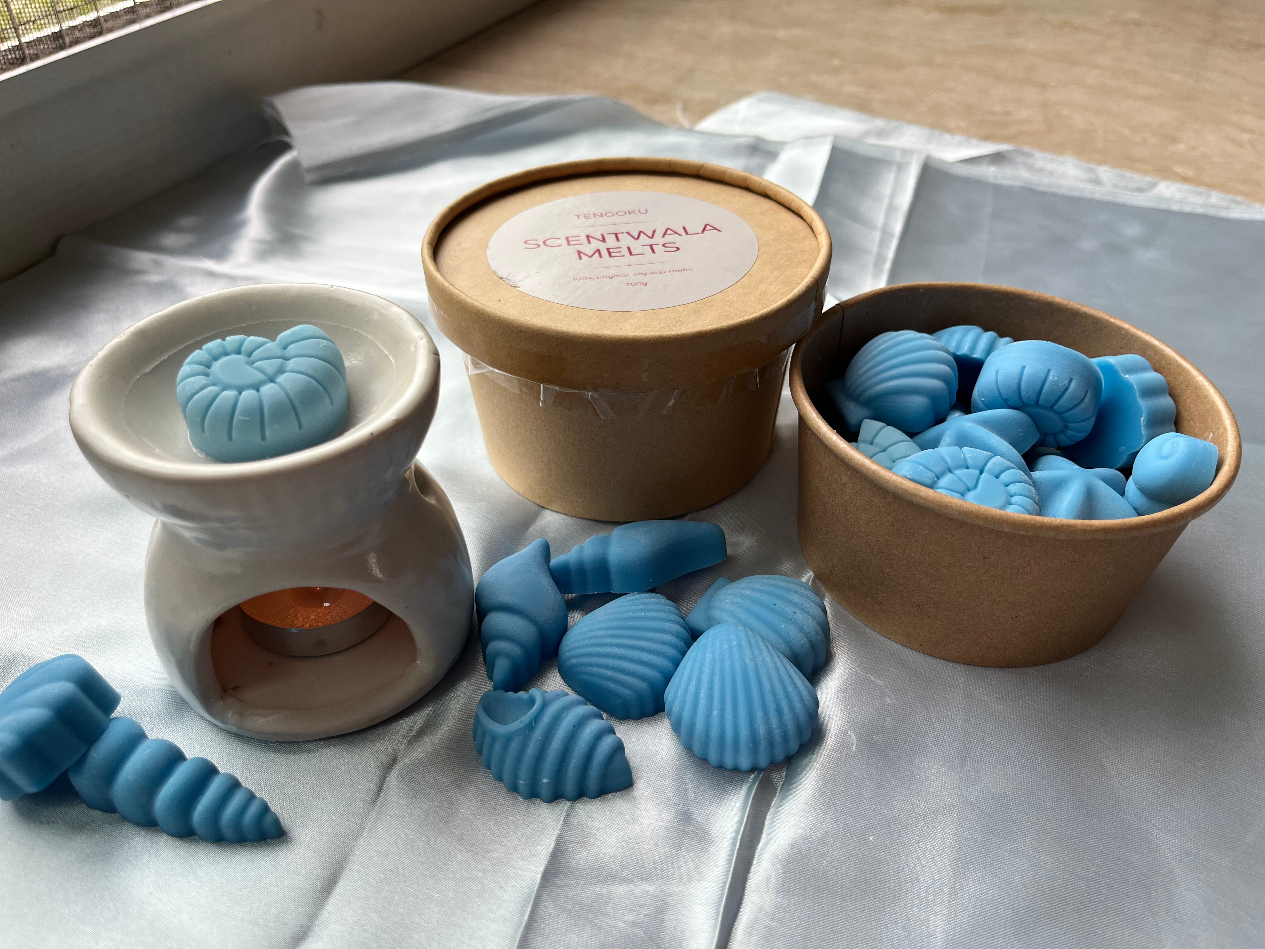 Beach Walk | Scentwala melts | Soy Wax Melts